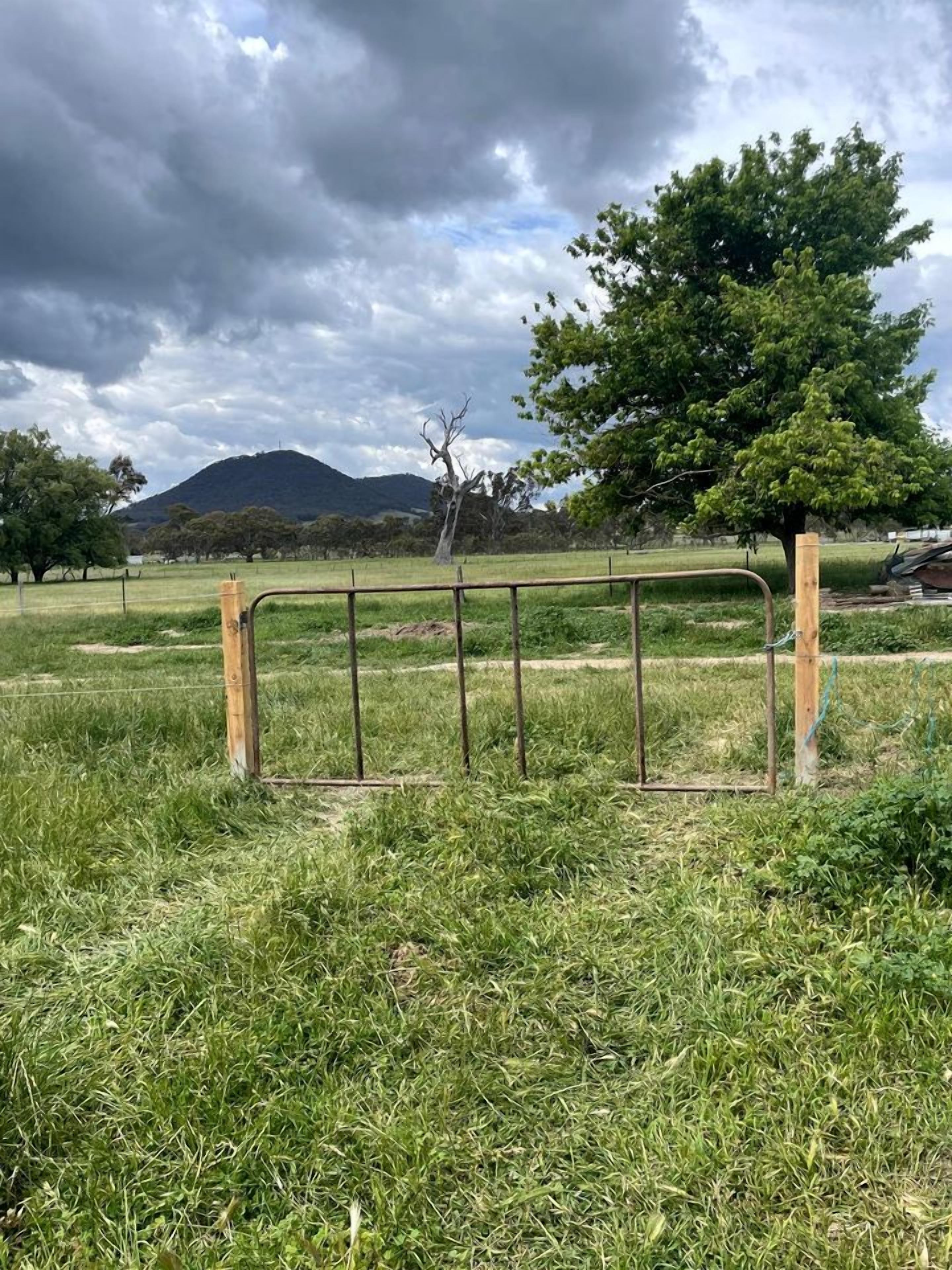 Un cancello in metallo in un prato erboso, con alberi e una montagna sullo sfondo.