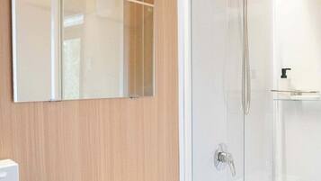 A modern bathroom with a glass shower enclosure, a white sink, and a mirror.