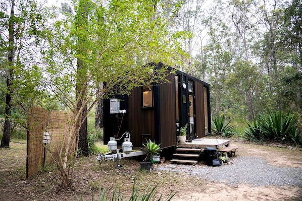 A small, dark wooden cabin with a porch, surrounded by trees and vegetation.