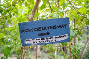 A sign with text and an arrow, surrounded by greenery. - Relaxing Tiny House Escape with Stunning Rocky Creek Views, Nestled in the Foothills of the Bauple Mountains in Glenwood, New South Wales (Glenwood)