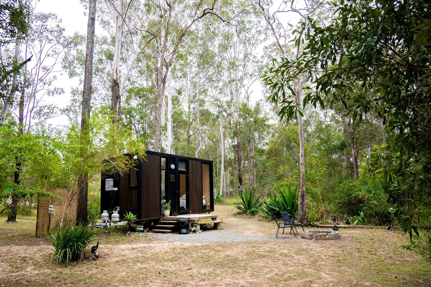 A small, dark-colored cabin in a forested area with a gravel path leading to it.