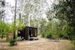 A small, dark-colored cabin in a forested area with a gravel path leading to it.