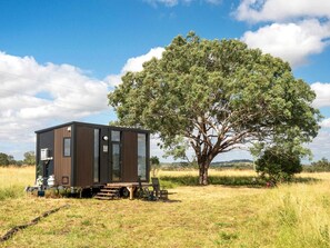 A small, modern cabin with a sliding door, situated in a grassy field with a large tree nearby.