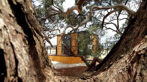 A tree trunk framing a view of a building with a yellow facade and large windows.