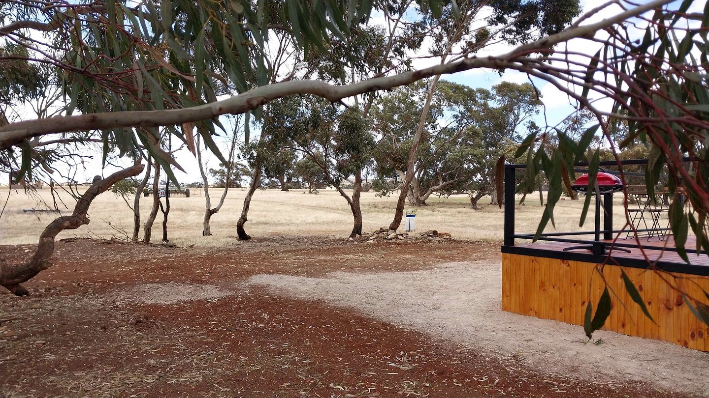 A fenced outdoor area with trees and a wooden structure.
