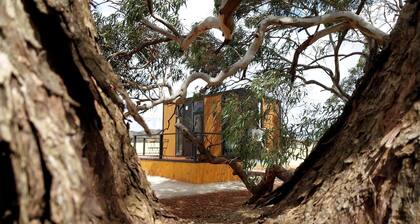 Charming Farm Stay with Rustic Countryside Charm in Hallett, Australia
