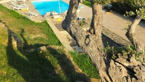 Pool - Apartment 'La Vite' with Mountain View, Wi-Fi and Air Conditioning (Agropoli)