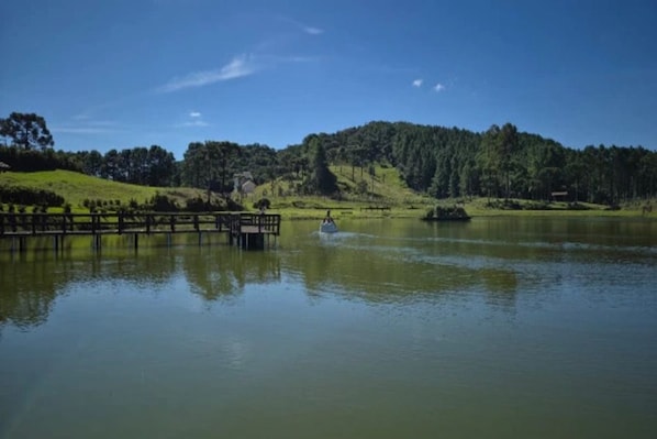 Un lago tranquilo con un muelle de madera que se adentra en el agua, rodeado de colinas verdes y árboles bajo un cielo despejado.