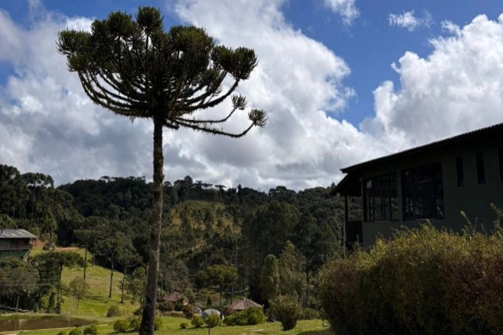 A building with a large tree in front, surrounded by greenery and hills in the background.