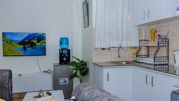 A compact living space with a sofa, a coffee table, a TV, a water dispenser, a kitchen area with cabinets and a sink, and a plant.