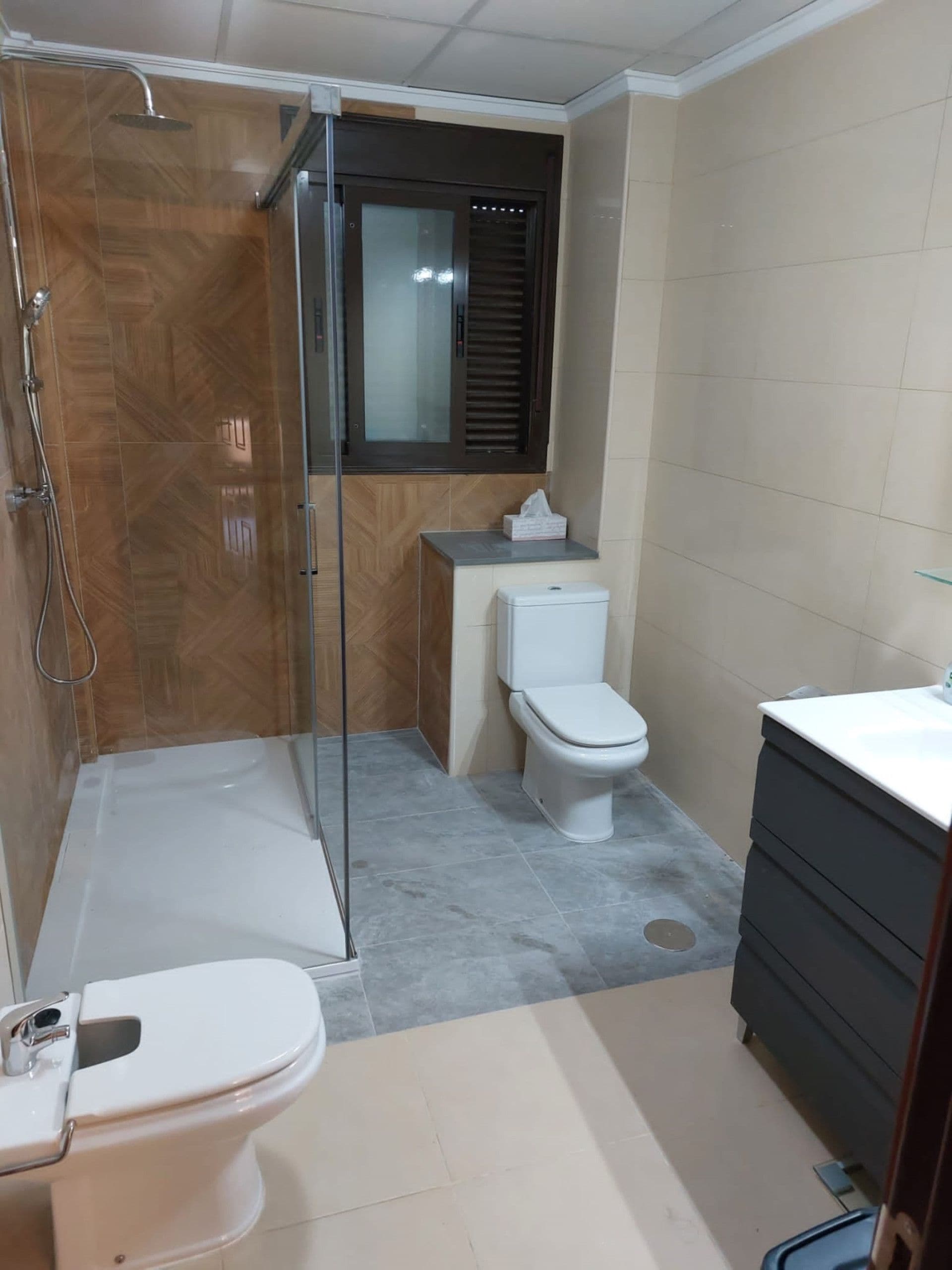 Une salle de bain avec douche, toilettes et lavabo.