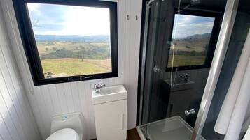 A bathroom with a toilet, a small sink, and a glass-enclosed shower.