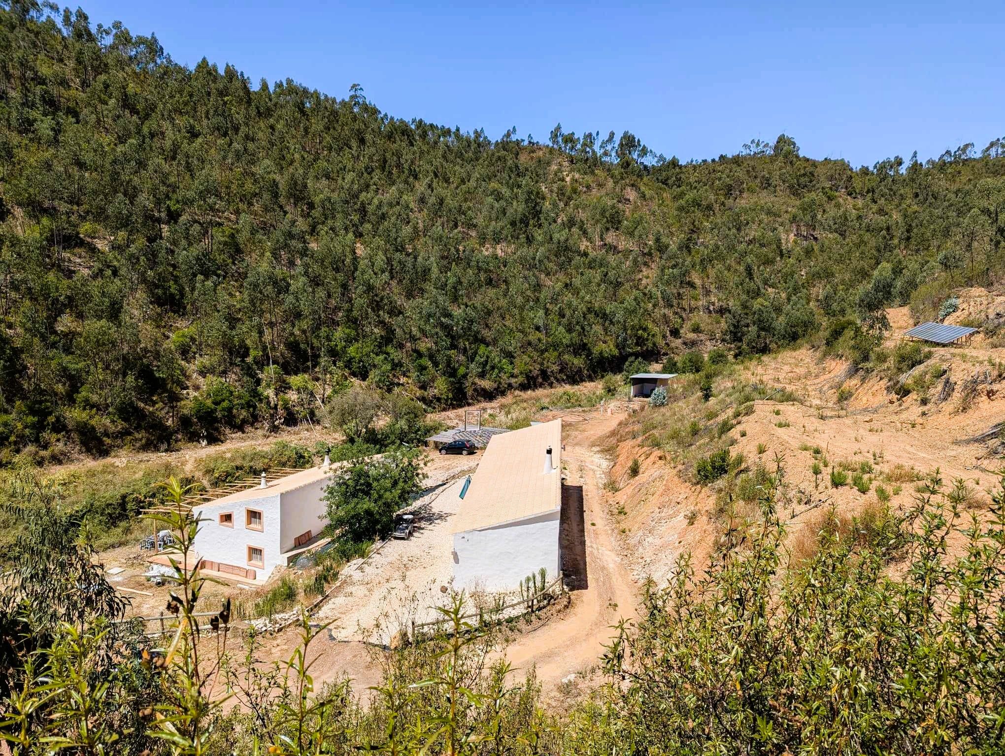 Una cabaña rústica y aislada con un camino de tierra que lleva a ella, rodeada de un bosque denso.