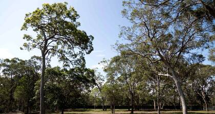 Cozy Pet-Friendly Tiny House with Bushland Wildlife Escape near Fraser Island, Fraser Coast Queensland