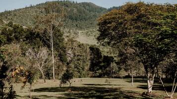 A natural landscape with trees and a hill in the background.