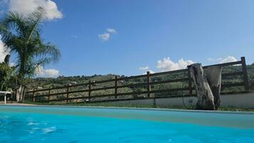 Une piscine entourée d’une clôture en bois, avec un palmier au premier plan.