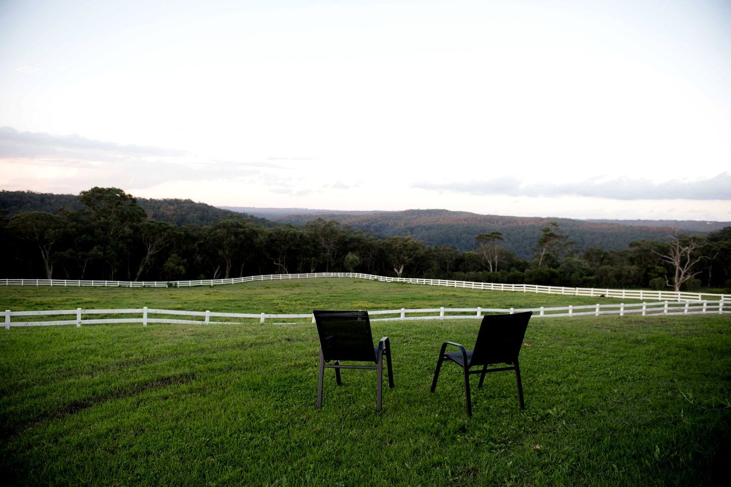 A grassy field with white fences and two chairs facing a forested landscape.