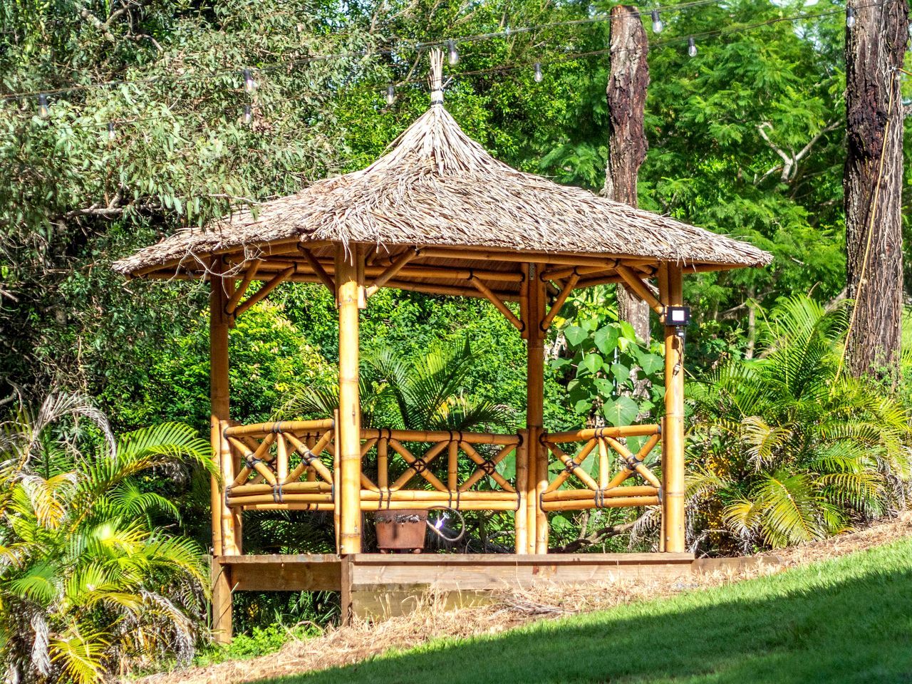 A wooden gazebo with a thatched roof, surrounded by lush greenery and trees.