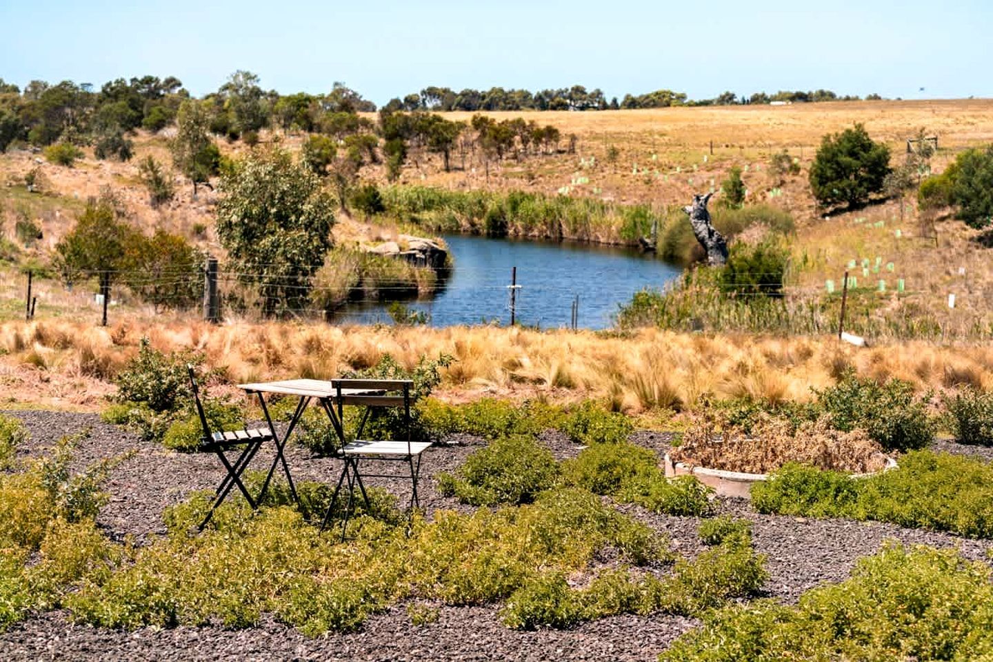 A natural landscape with a small pond, grassy areas, and a picnic table.