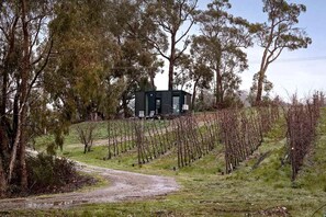 Un vignoble avec des rangées de vignes et un bâtiment en arrière-plan.