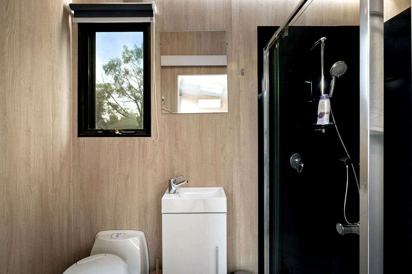 A bathroom with a toilet, a sink, and a shower.