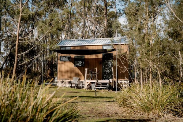 A wooden cabin with a metal roof, surrounded by tall trees and grass.