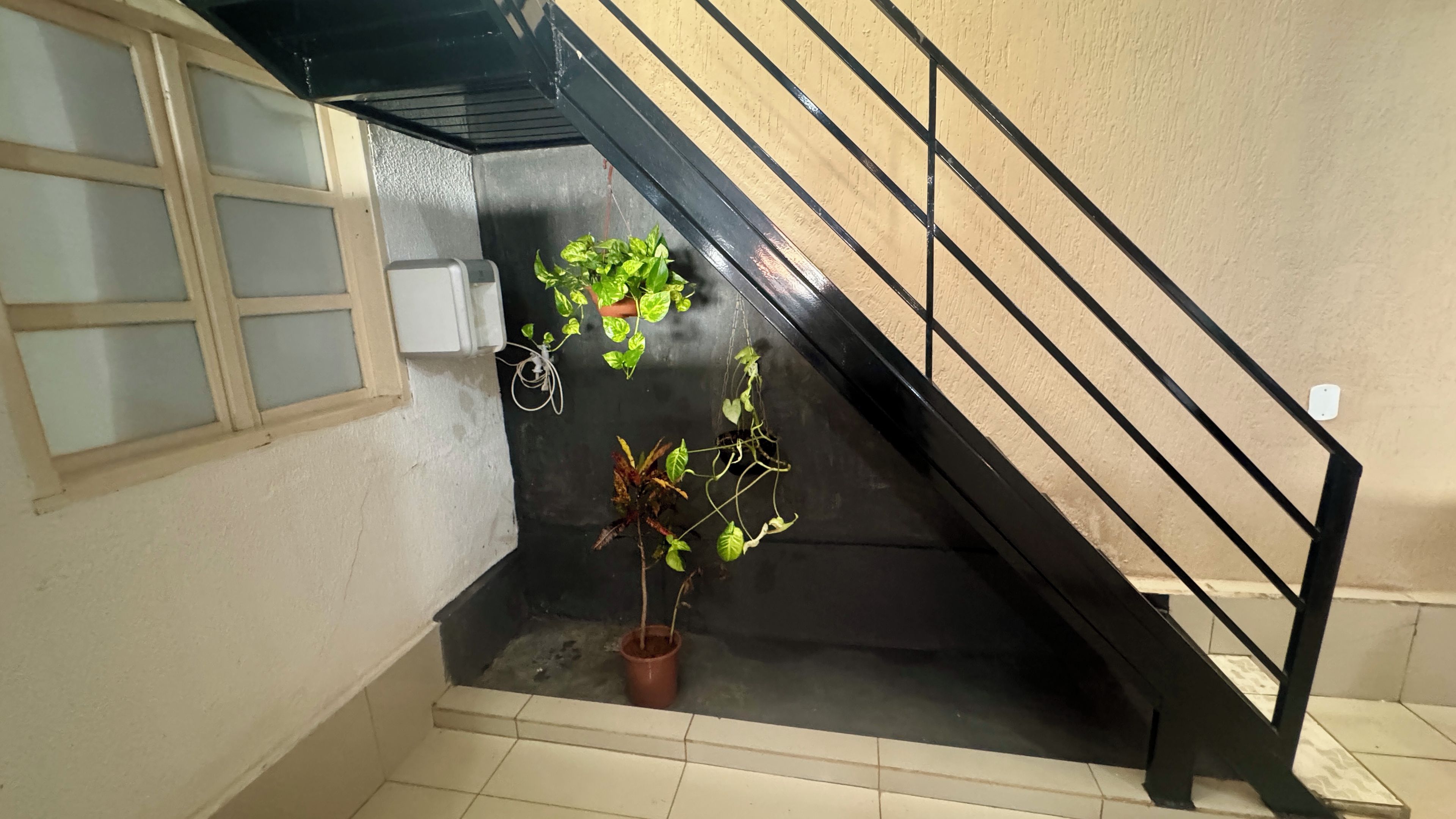 Una escalera con barandilla, una planta en maceta y una ventana con vidrio esmerilado.