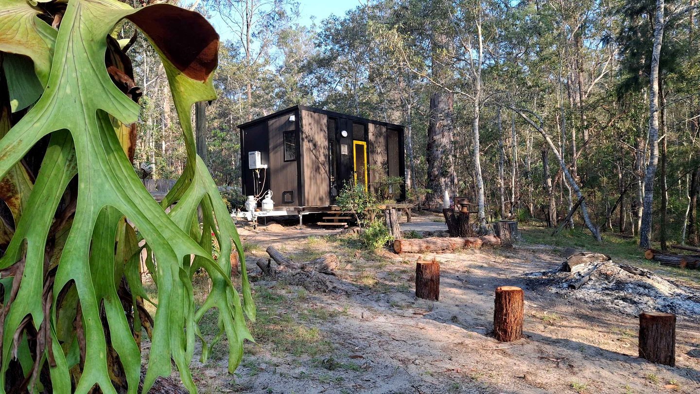 Una cabaña rústica con una puerta amarilla, rodeada de un área boscosa con un sendero de tierra que la conduce.