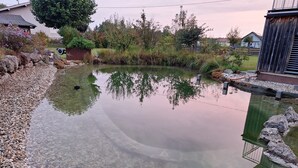 Un estanque transparente con borde de piedras, rodeado de vegetación y una estructura de madera.
