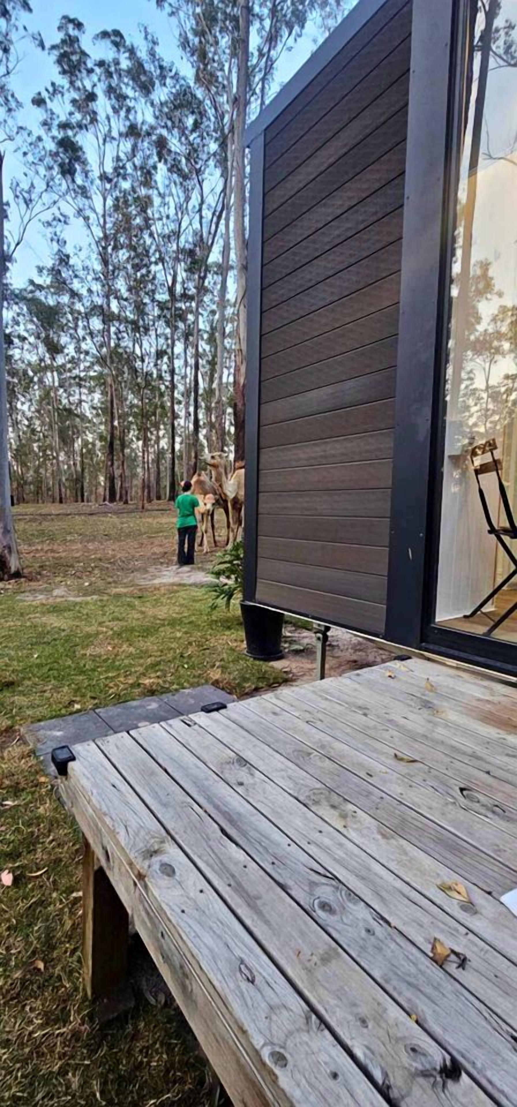 A wooden deck with a metal table and chairs, a modern building with a dark facade, and a grassy area with trees in the background.