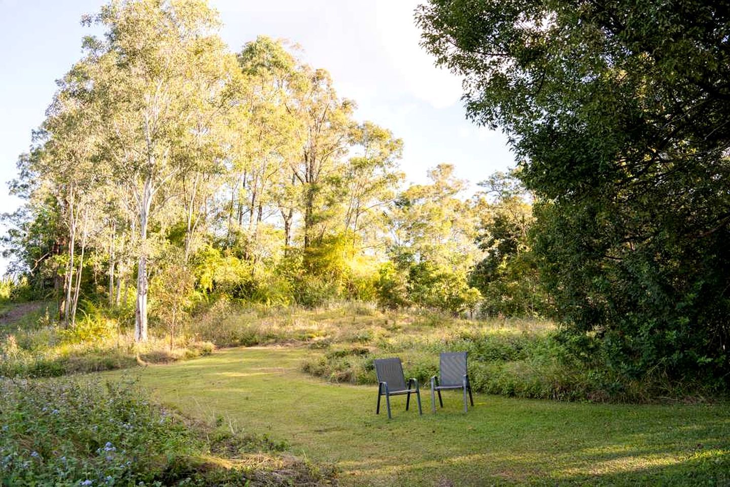 A grassy outdoor area with two chairs and trees in the background.
