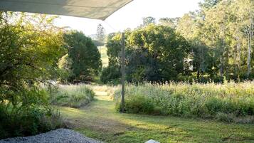 A covered outdoor area with a gravel path leading to a grassy area, surrounded by dense trees and vegetation.