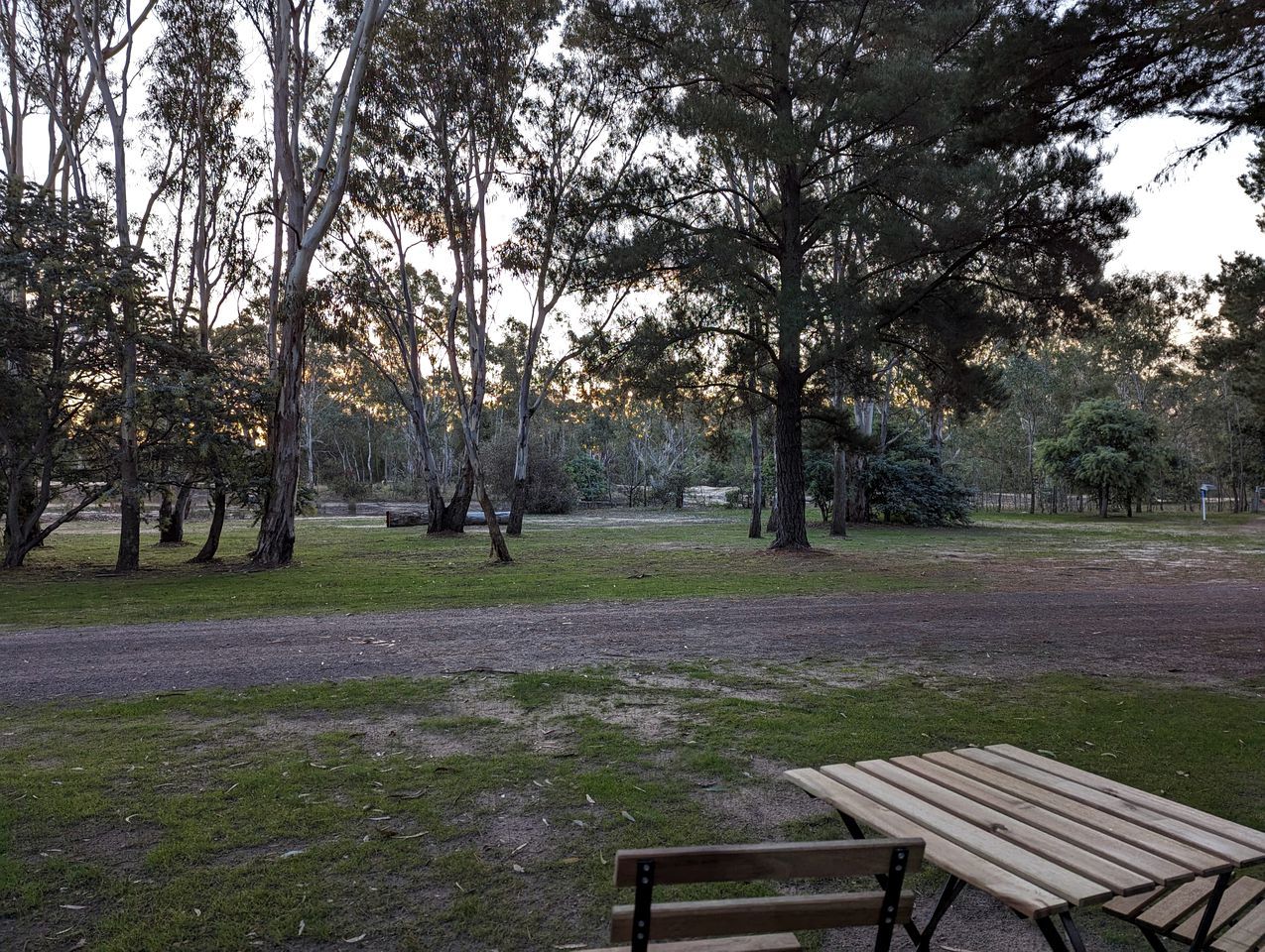 Un parque con una mesa de picnic y bancos, rodeado de árboles.