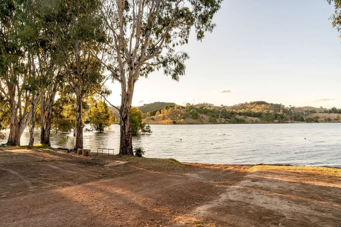A lakeside view with trees, a clear sky, and a distant hill.