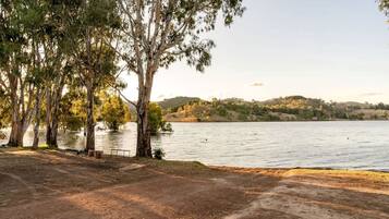 A lakeside view with trees, a clear sky, and a distant hill.