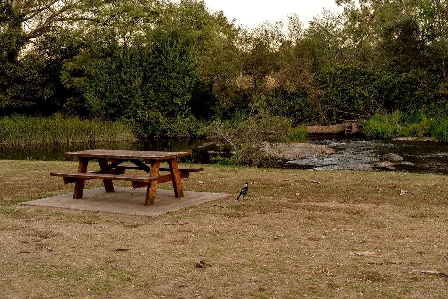 A picnic table in a natural setting with a river and dense foliage in the background.