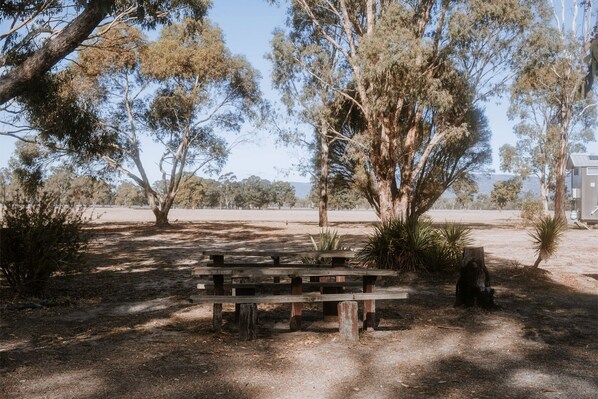 A picnic table in a natural setting with trees and a clear sky. - Grampians Wine Country Glamping, Perfect for a Weekend Adventure (Dadswells Bridge)