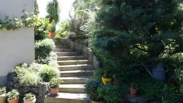 A set of stone steps leading up to a garden area with various potted plants and a watering can.