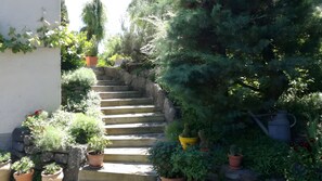 Eine Reihe aus Steinstufen führt zu einem Gartenbereich mit verschiedenen Kübelpflanzen und einem Gießkanne.
