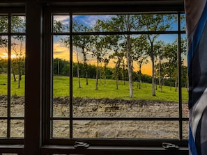 A window with a view of a grassy field and trees, with a stone wall at the bottom. - Across from Lazy River | Hot Tub | 6BR (Hollister)