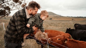 A person holding a child near a fence with cows in a rural setting.