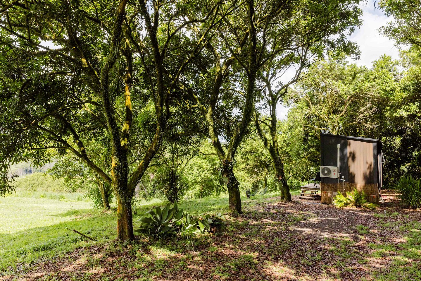 Un chalet rustique doté d’une terrasse en bois, entouré d’une végétation luxuriante et d’arbres.