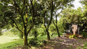 Un chalet rustique doté d’une terrasse en bois, entouré d’une végétation luxuriante et d’arbres.
