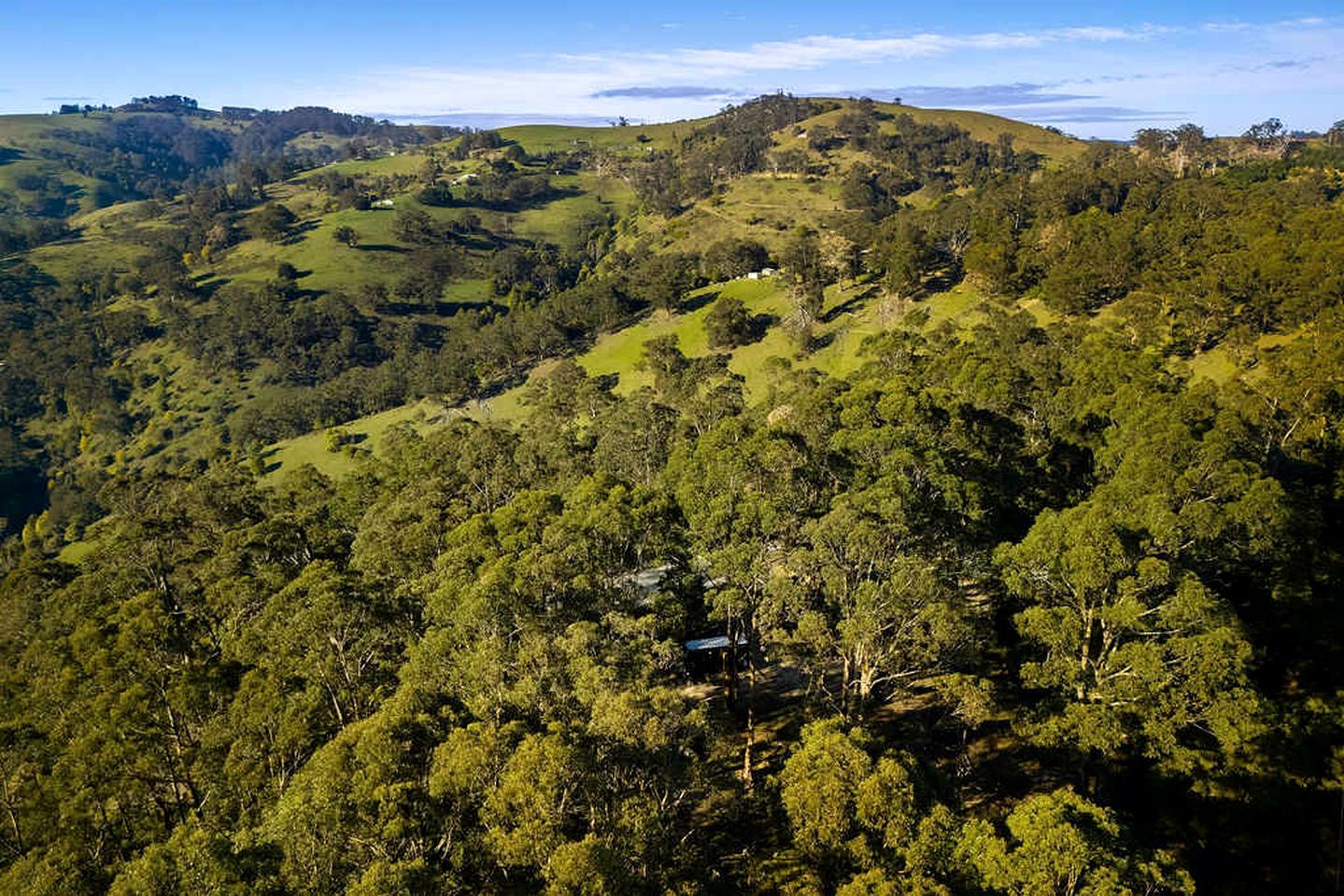 Un paysage vallonné, avec une forêt dense et des bâtiments dispersés.
