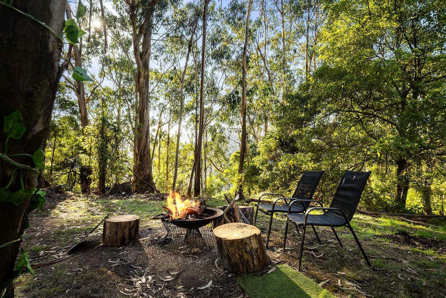 Ein Campingplatz mit Feuerstelle, zwei Stühlen und einer bewaldeten Umgebung.
