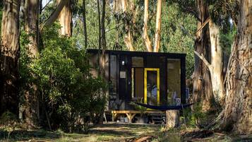 A secluded cabin surrounded by tall trees in a forest.
