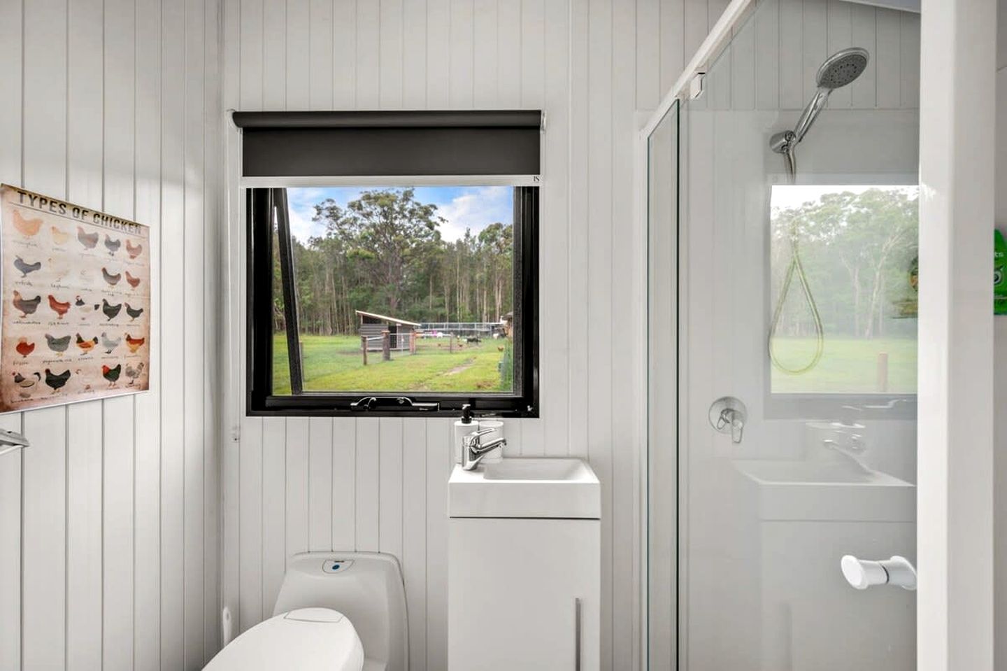 A bathroom with a window, a sink, and a shower.