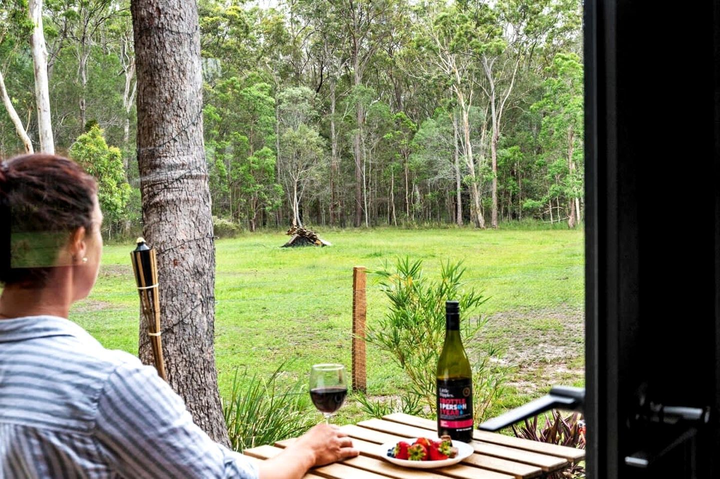 A person sitting at a table with a bottle of wine, a glass, and a plate of fruit. The setting is outdoors with a grassy area and trees in the background.