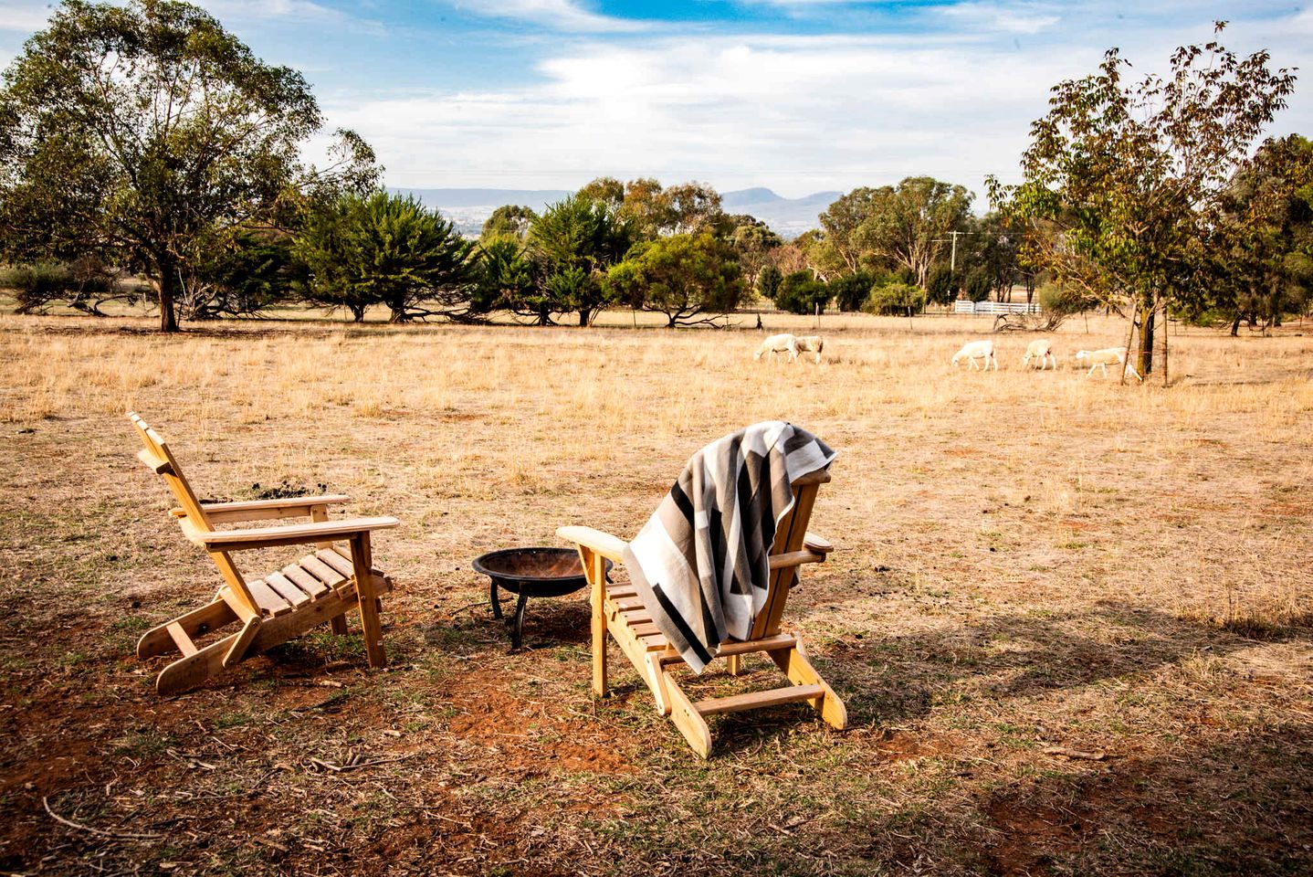 A campsite with two wooden chairs, a blanket, a fire pit, and sheep grazing in the background.