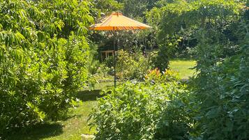 A garden with a wooden bench, a yellow umbrella, and various green plants.